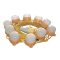 Festoon Lights