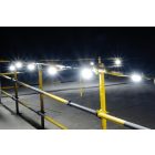 Festoon Lights
